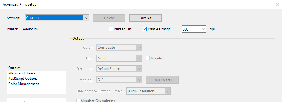 Screenshot depicting the print image checkbox selection, located in the advance print setup settings window