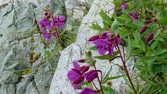 FY 2025 OASB Staff Report Cover 