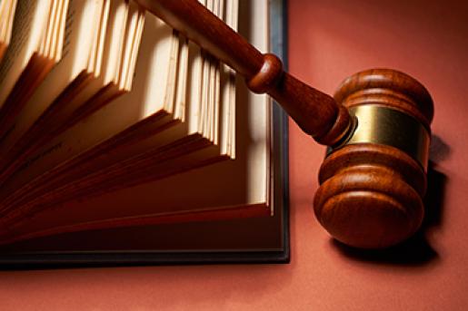 History and Rulemaking Photo