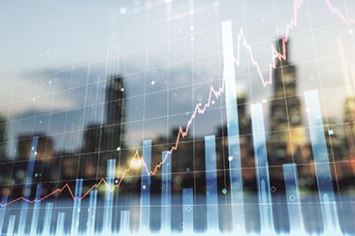 Office of Structured Disclosure Staff Observations, Guidance, and Trends Photo